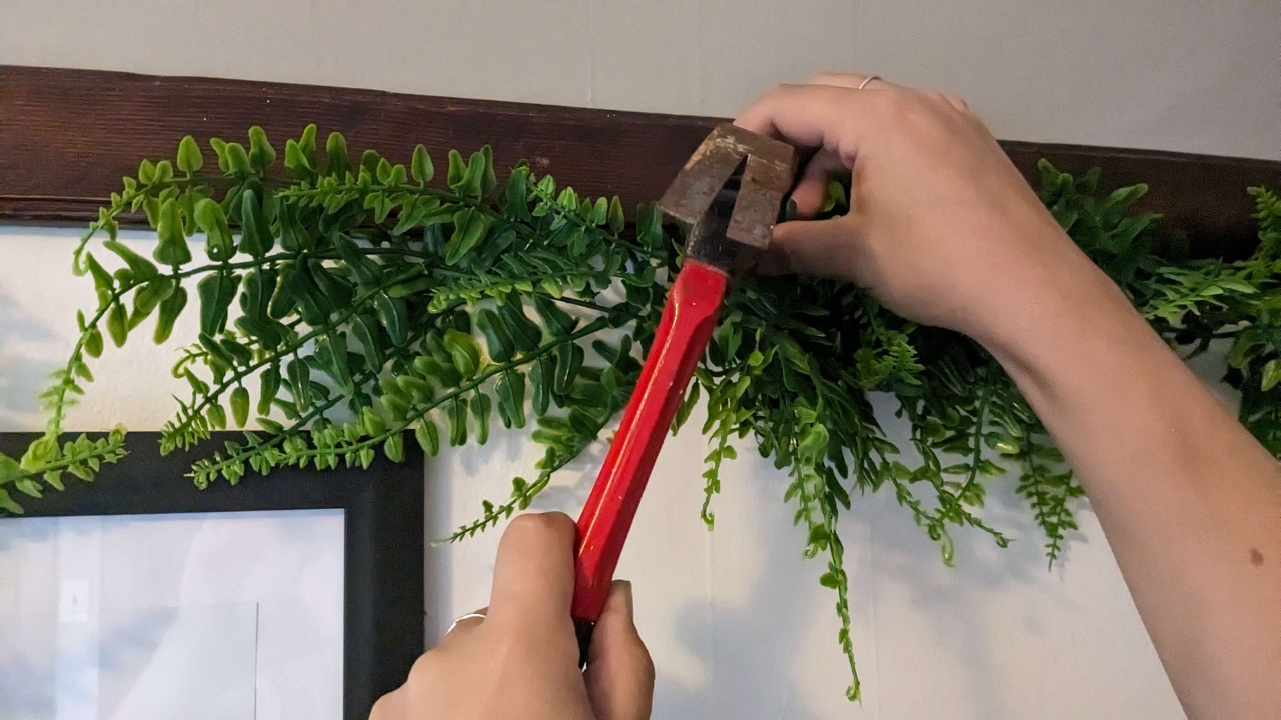 hammering greenery into a wall