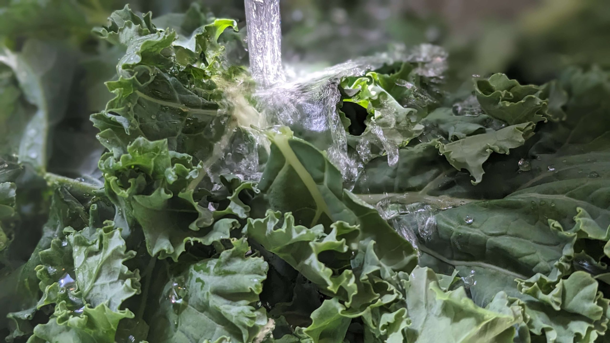 water running over kale