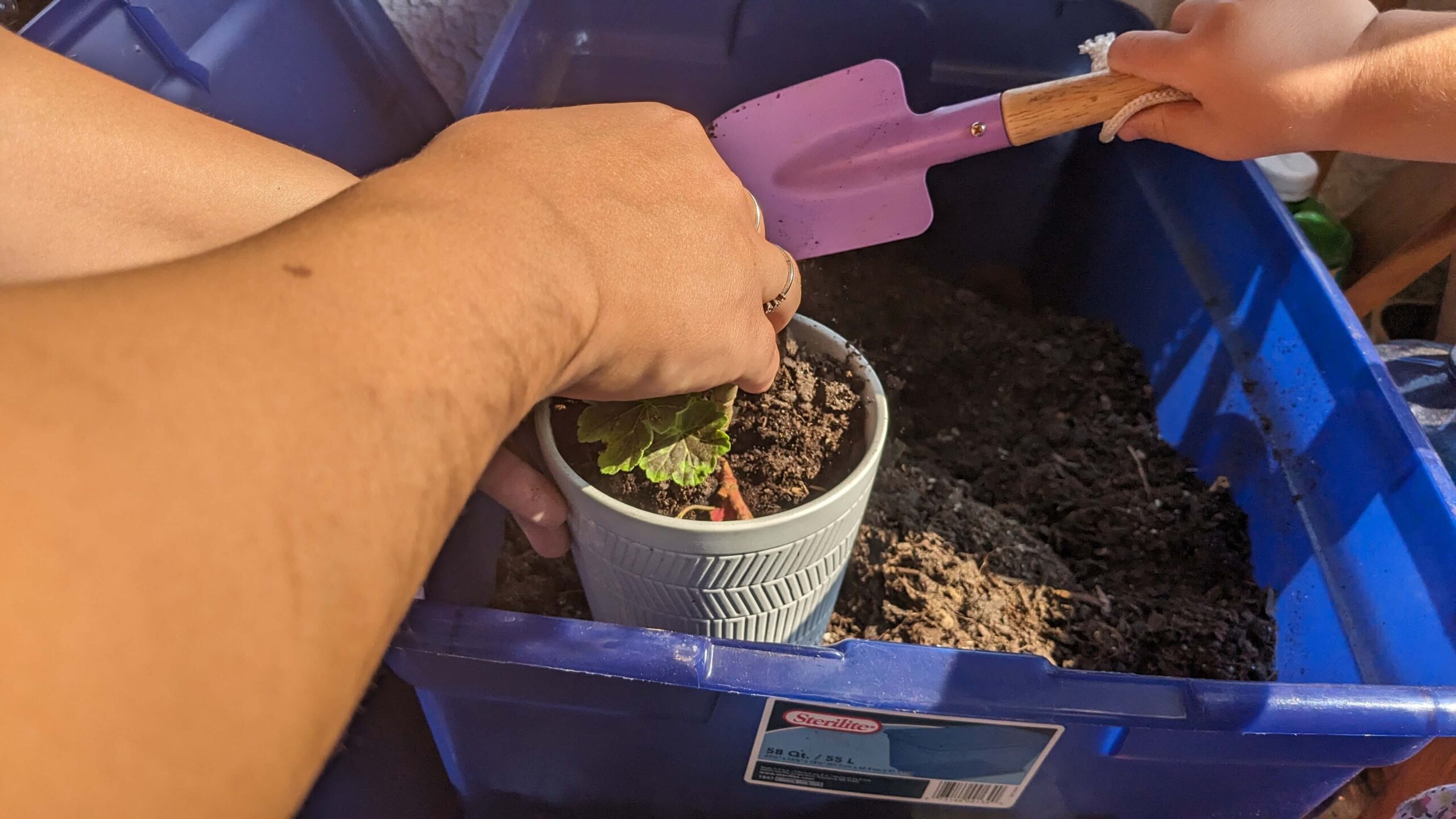 woman holding a flower pot with a purple shovel filling in with soil