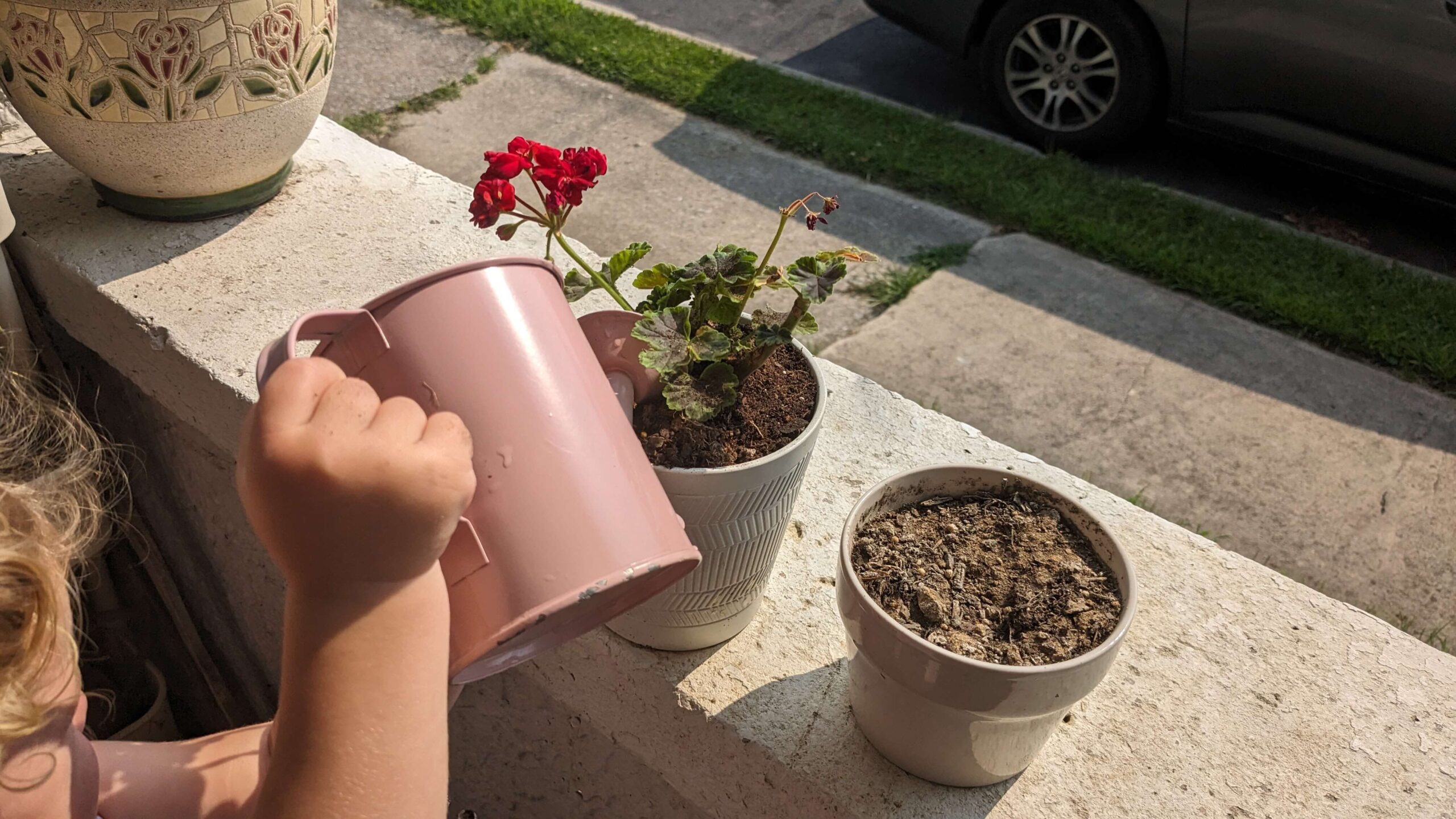 toddler girl watering a red flower with a pink watering can