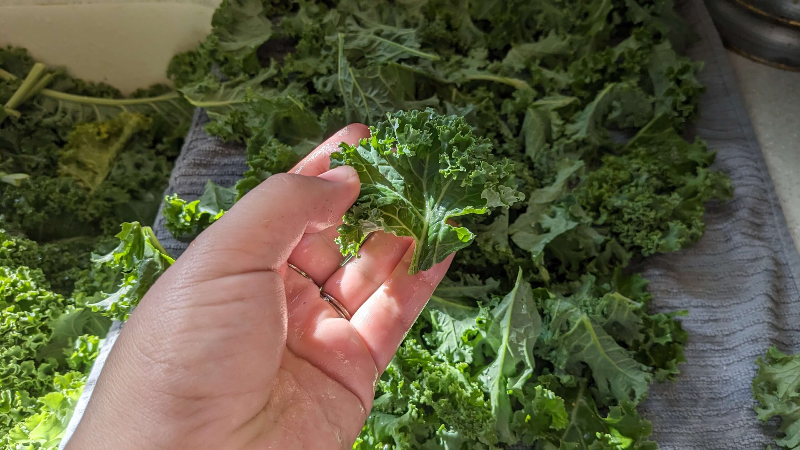 woman holding a piece of clean kale