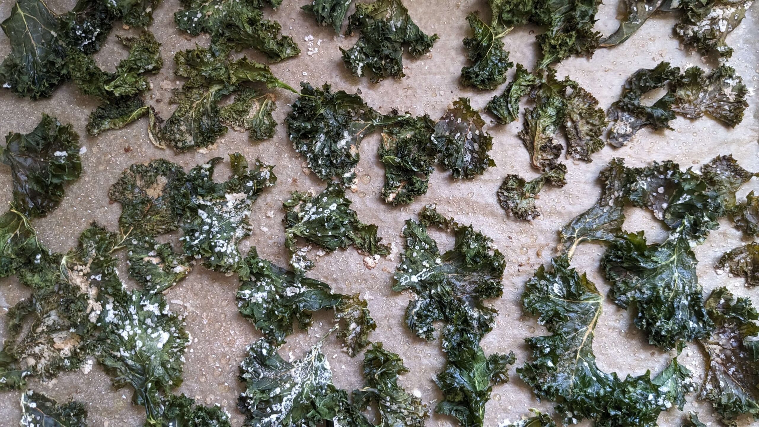 Kale Chips Without an Air Fryer