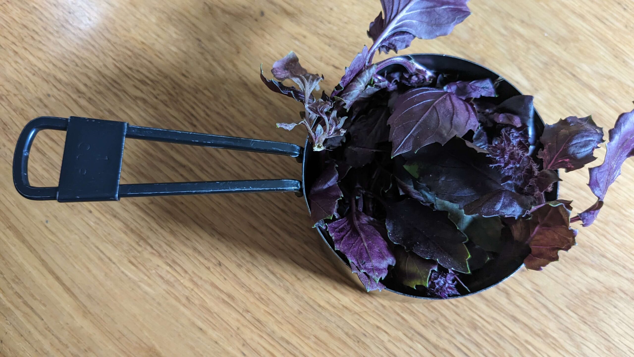 purple basil leaves in a measuring cup