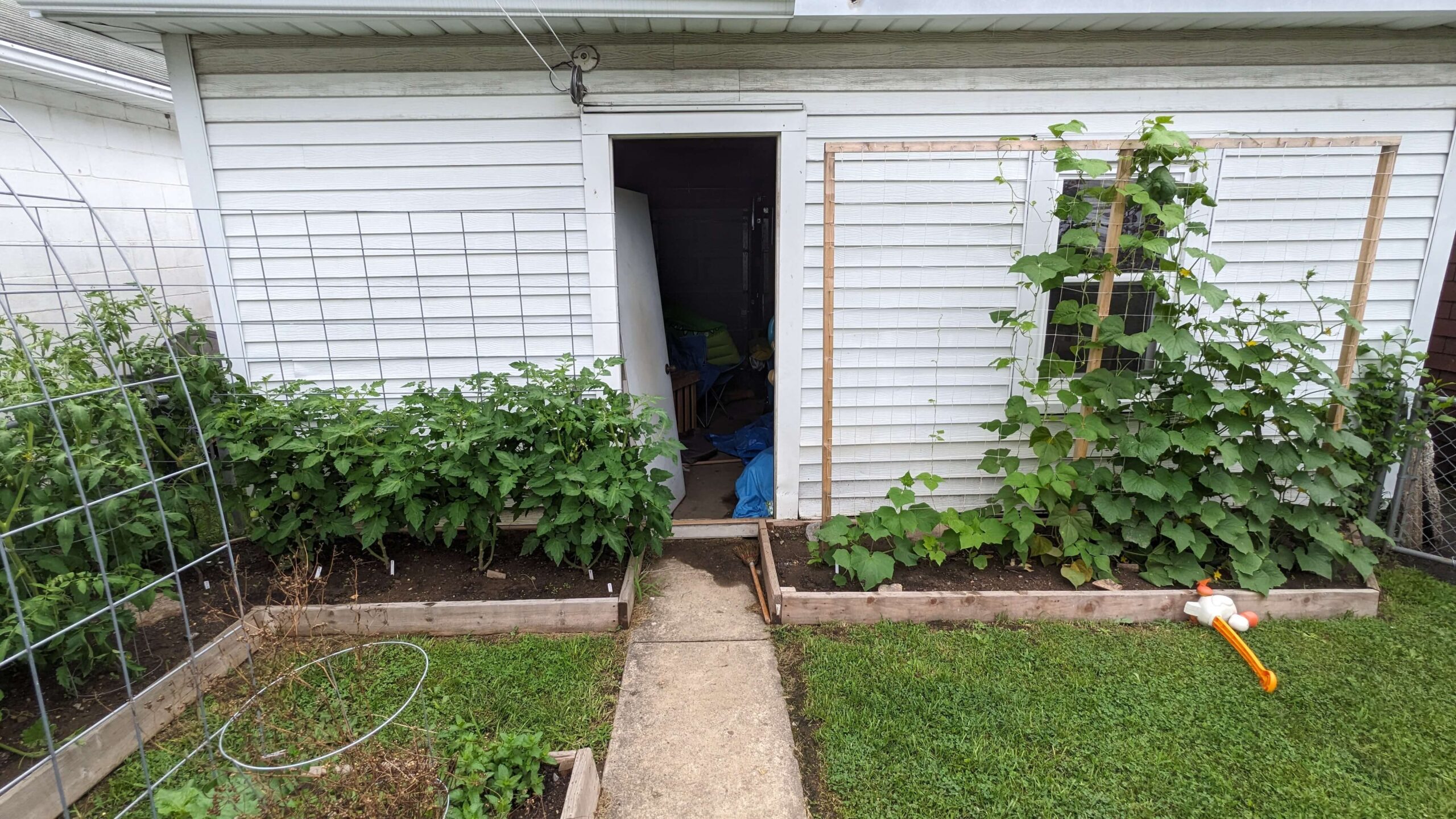 a path leading to a door with a garden on either side. One side has a cattle panel trellis and one side had a wood and string trellis