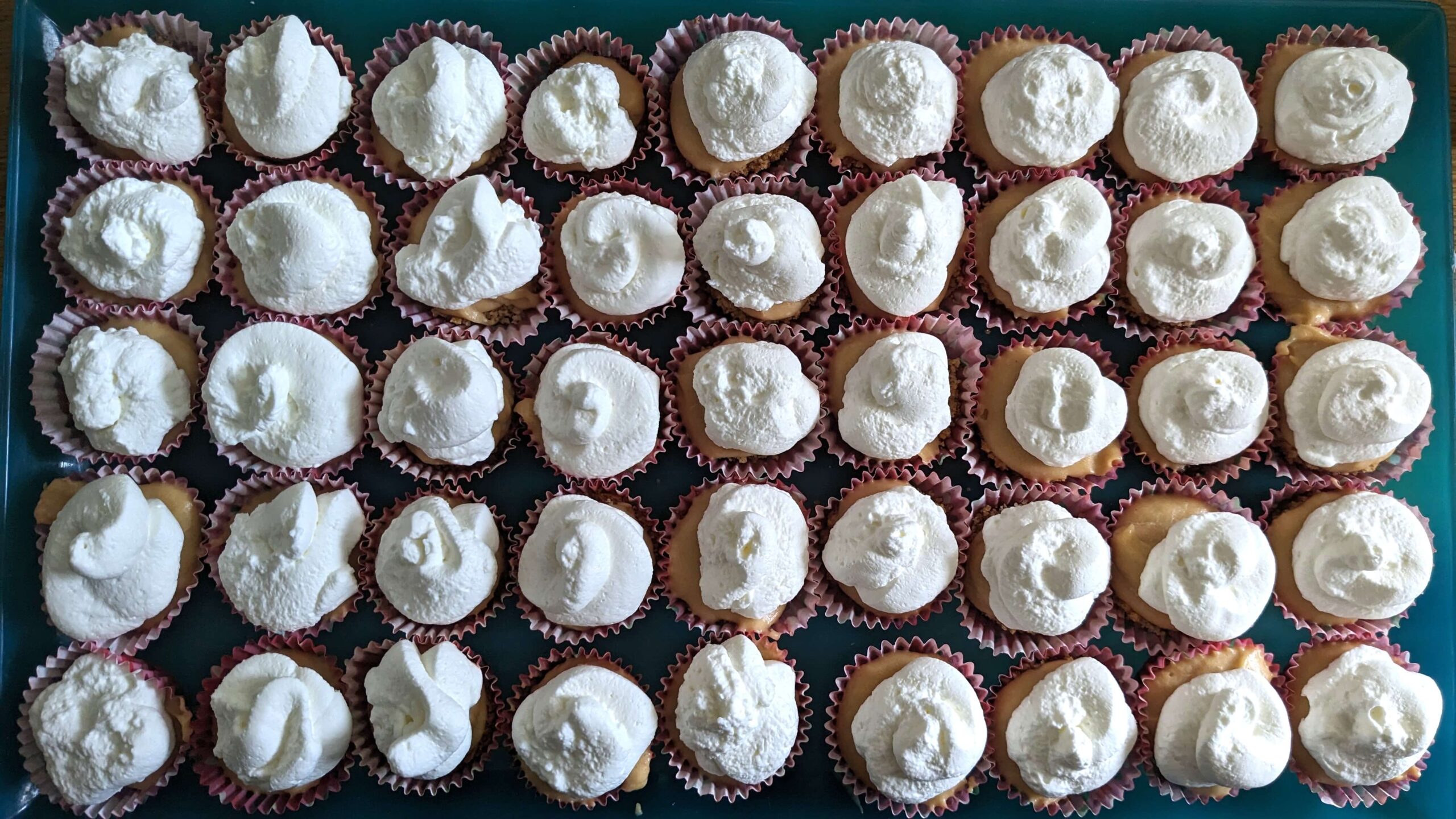 mini muffins of peanut butter cheesecake bites topped with whipped cream
