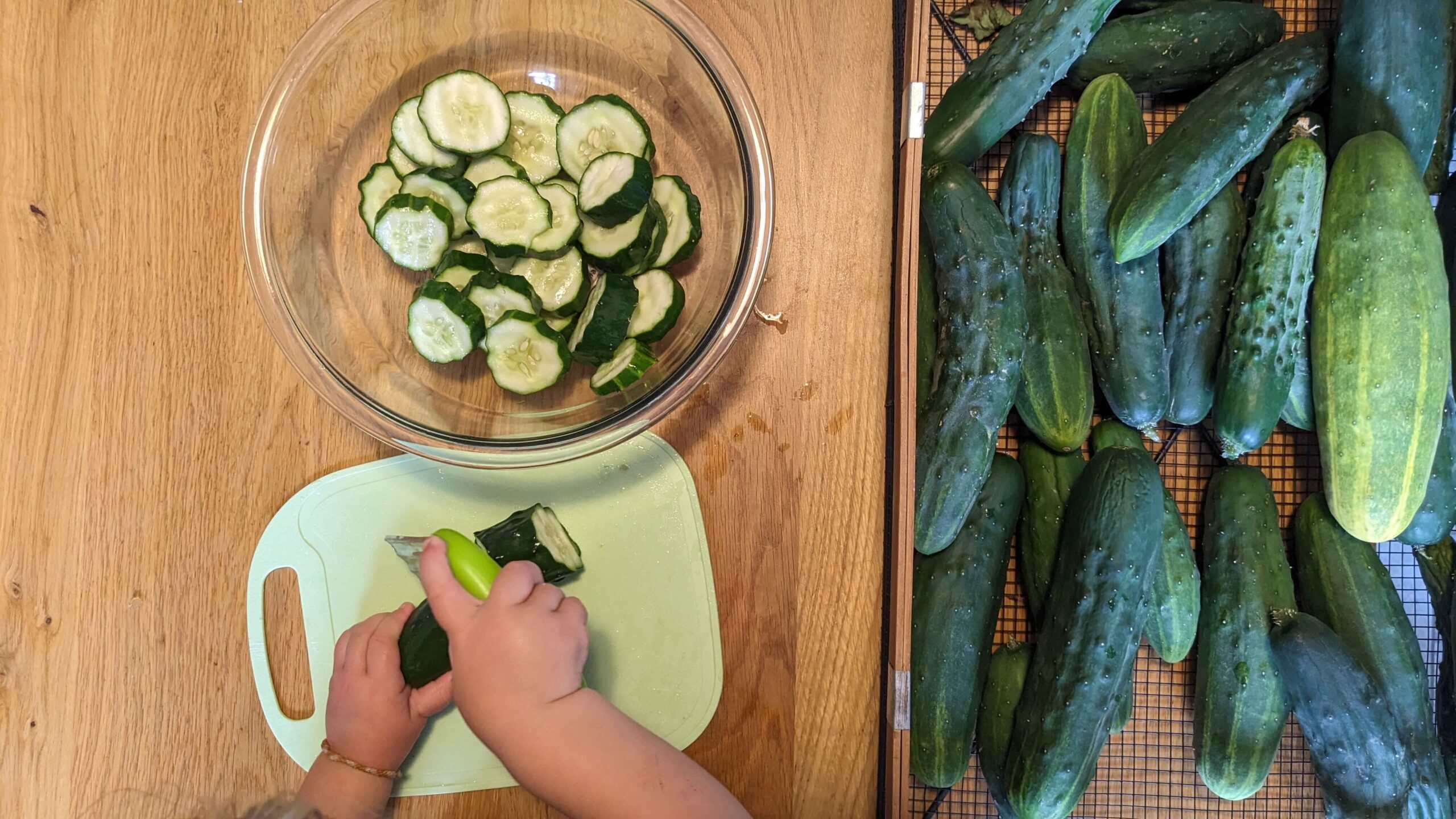 toddler cutting cucumbers next to a pile of cucumbers