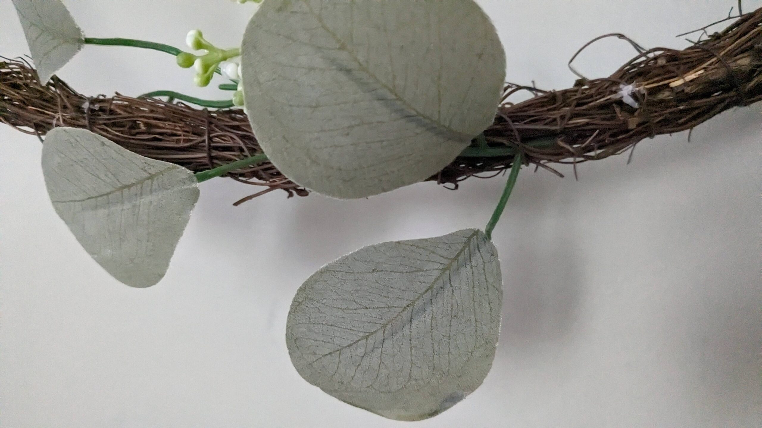 close up of a fake eucalyptus leaf on a fake grape vine