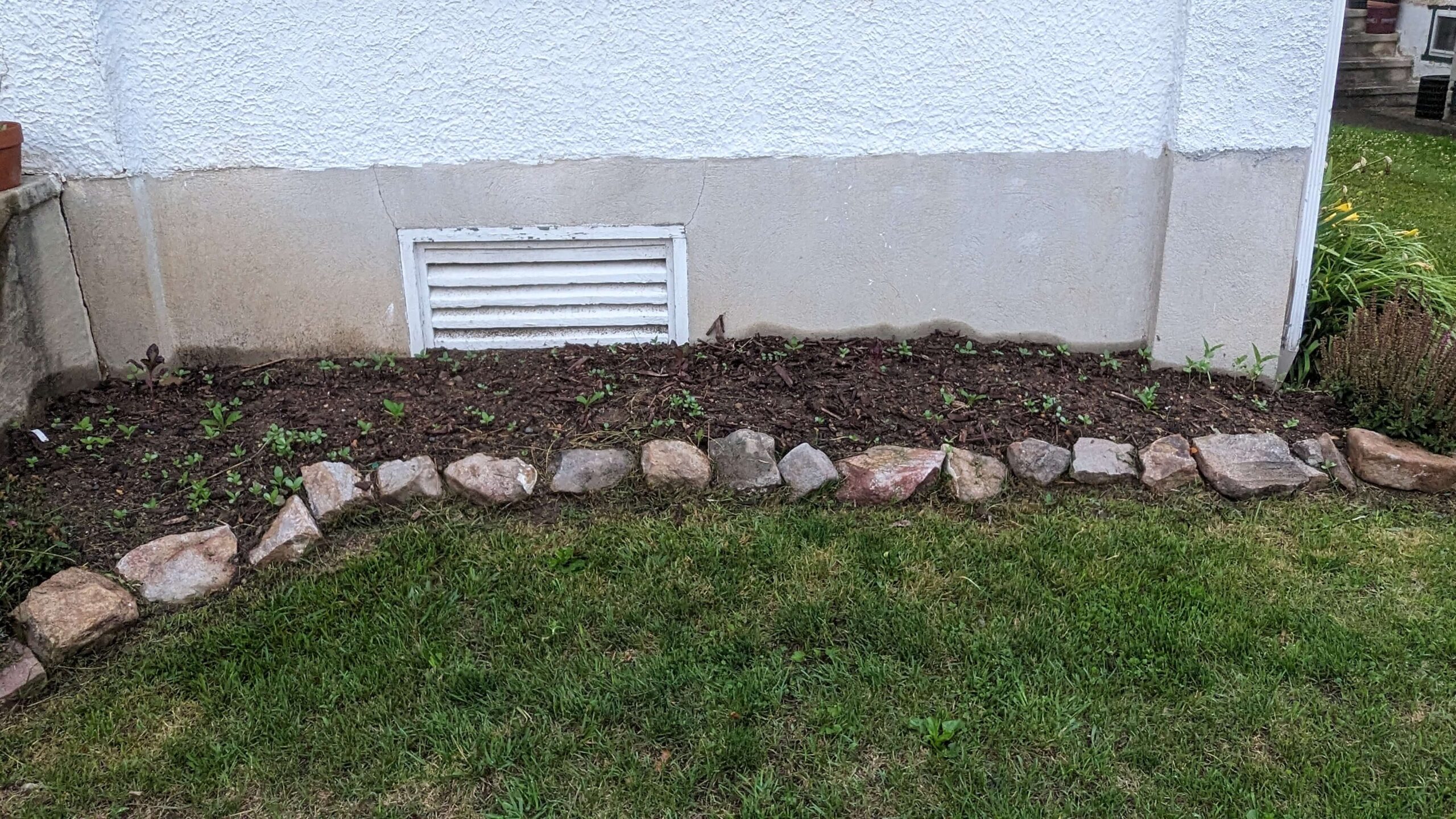 a rock lined garden bed against a house with seedlings