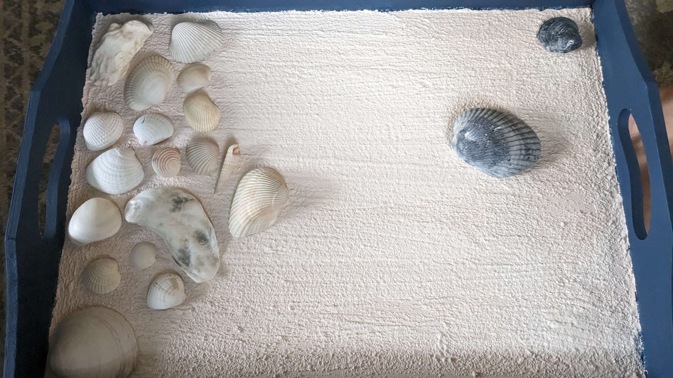 several white and black seashells on a textured painted wooden tray