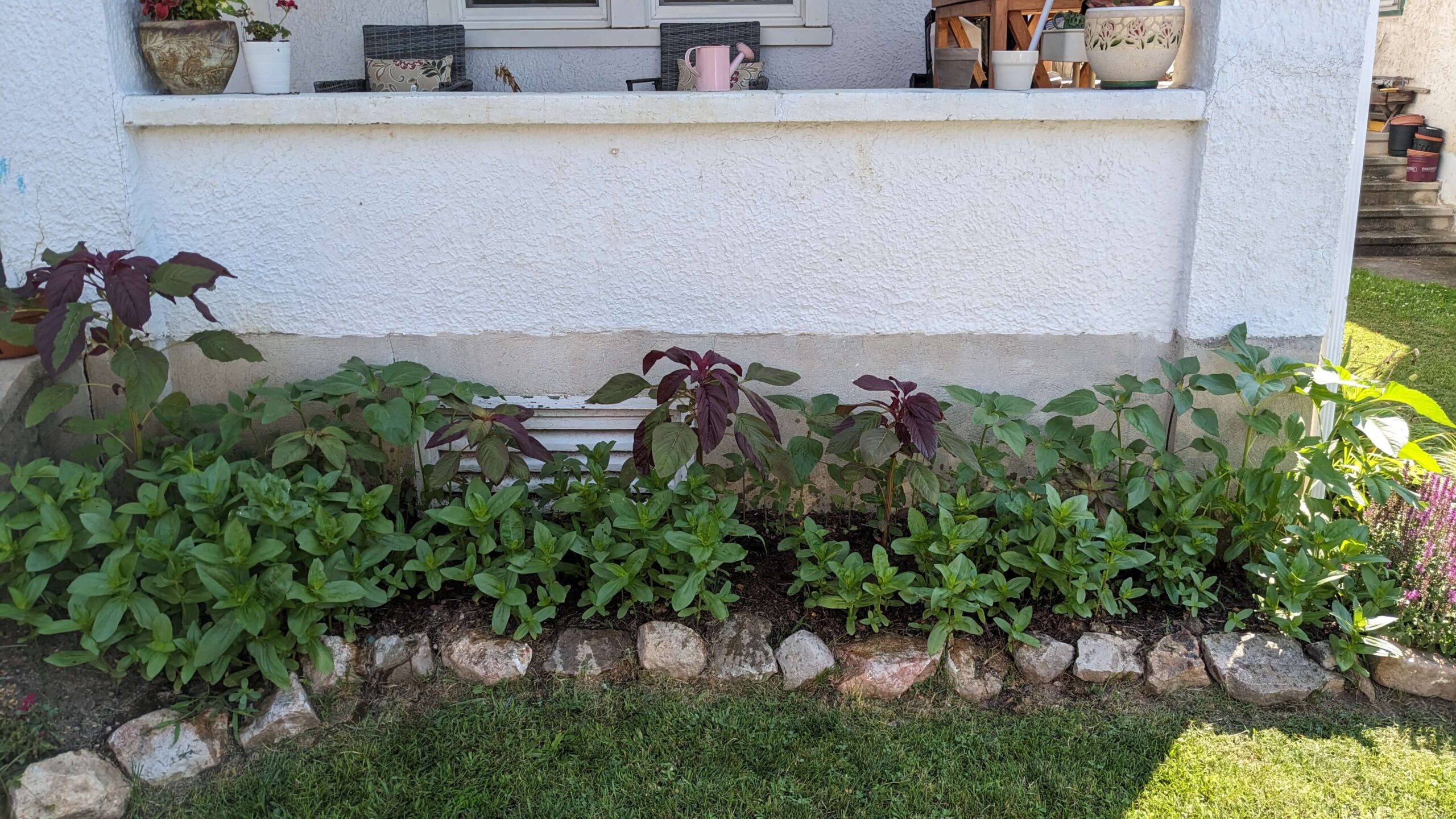 a rock lined garden bed against a house with plants that are well established