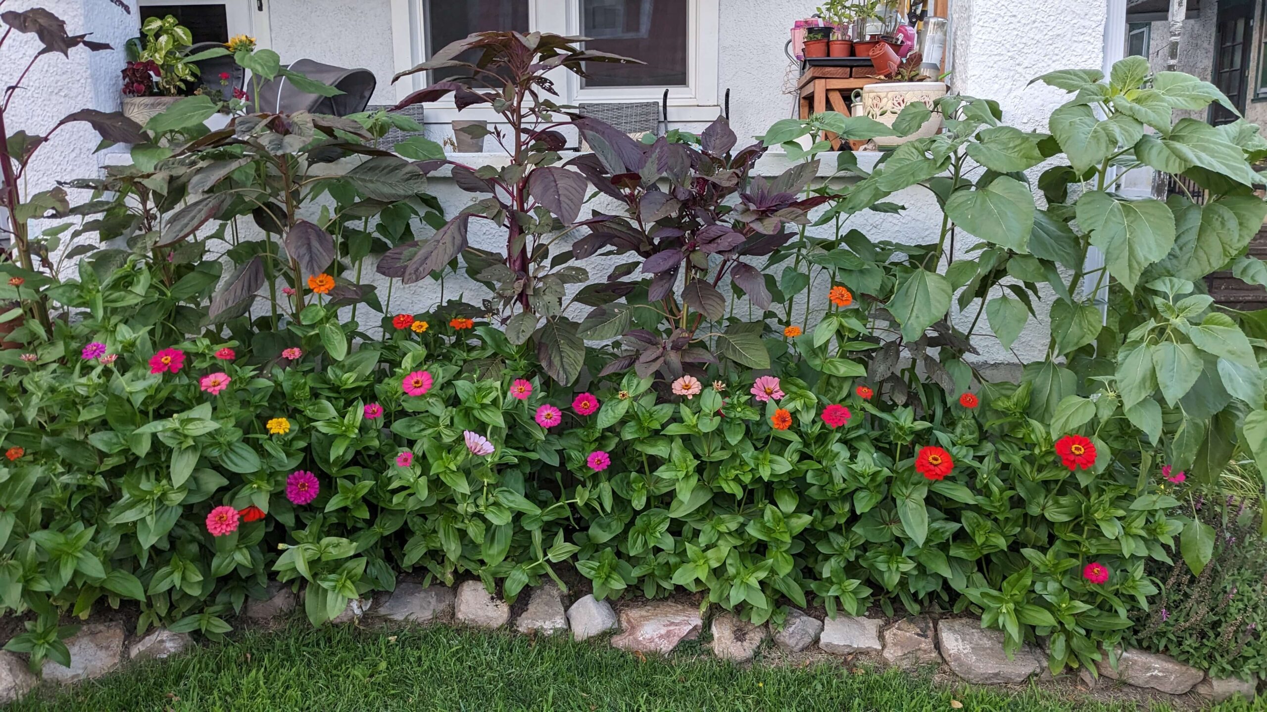A Summer Flower Garden Progression