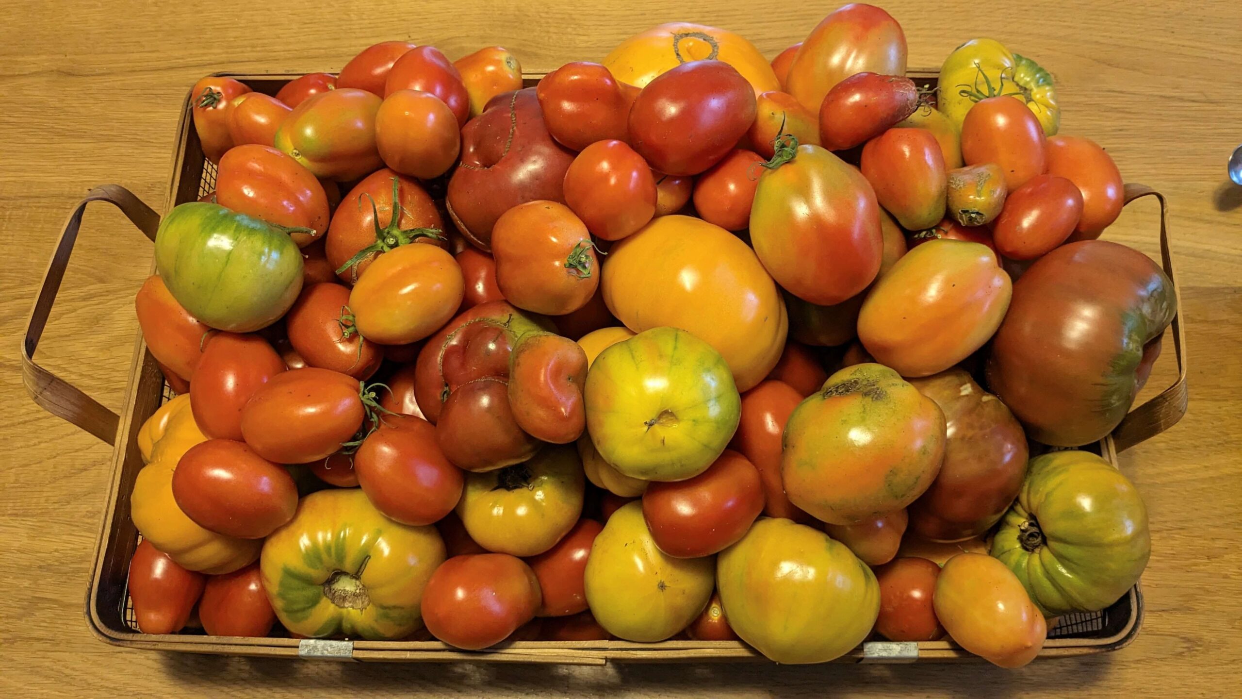 A basket of a variety of tomatoes on a counter top