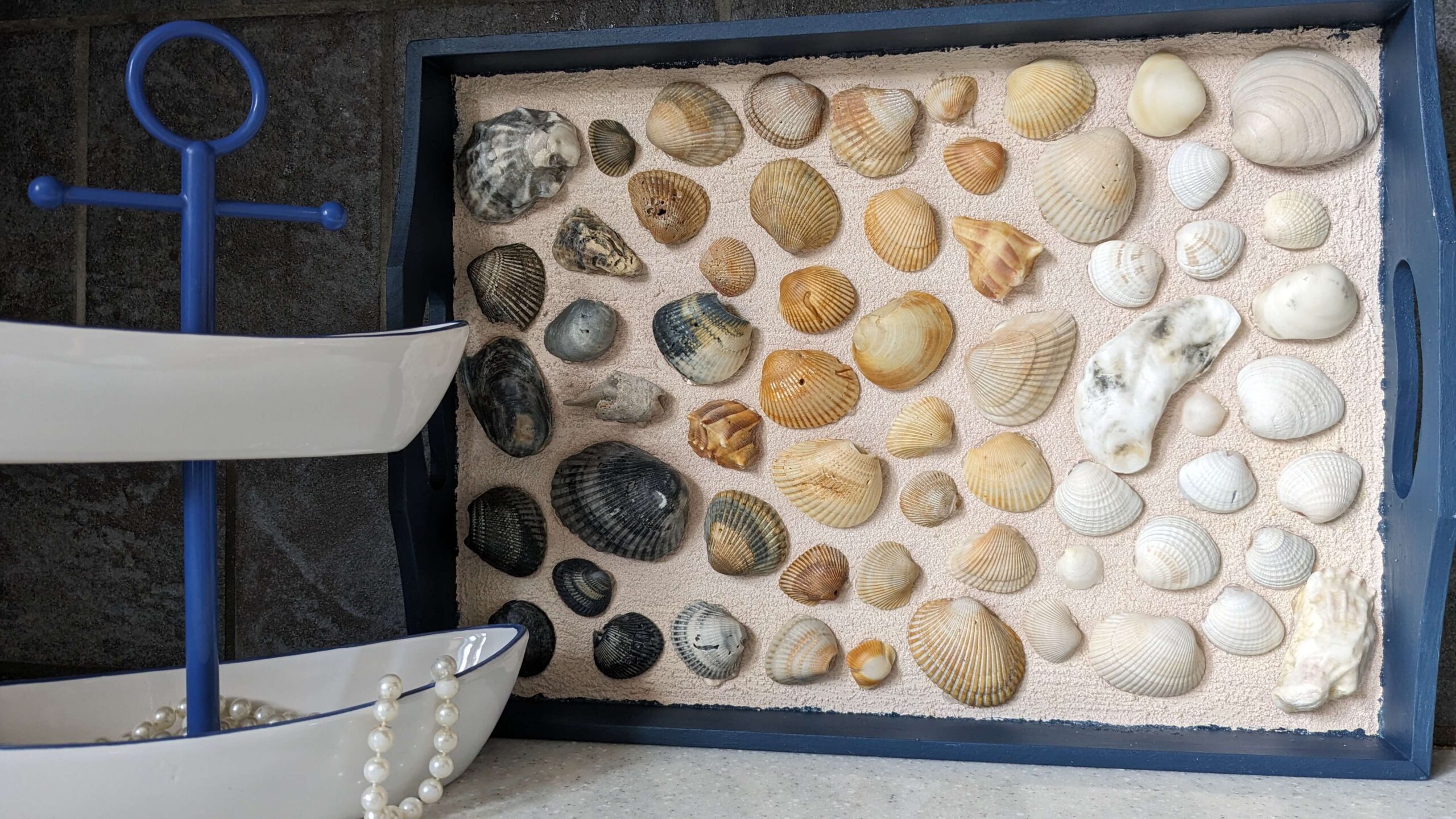 Seashell Craft For a Wall or a Shelf