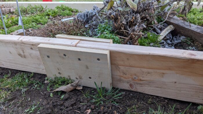 The side of a raised bed.