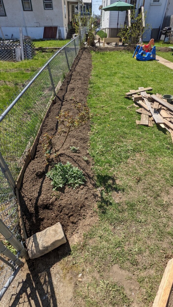 A long bed of soil next to a chain link fence. A pile of wood boards lay in the yard.