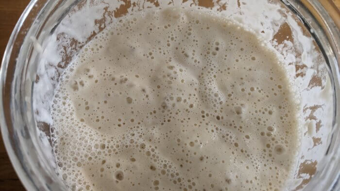 top view of active and bubbly sourdough starter
