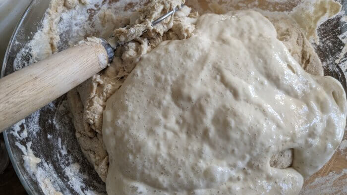starter in a bowl of dough with a danish dough whisk