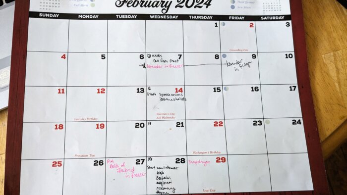 a february calendar with dates marked for planting