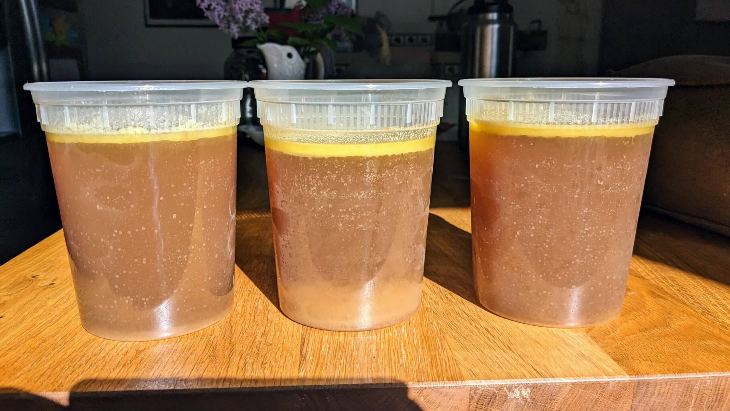 3 containers of homemade chicken stock