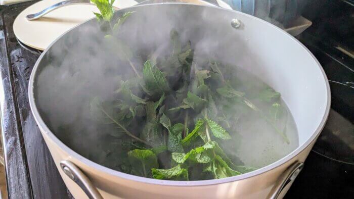 mint in boiling water