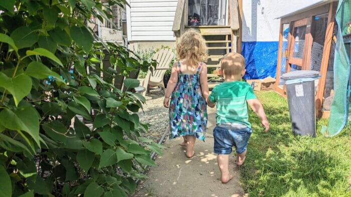 two toddlers holding hands and walking in a backyard