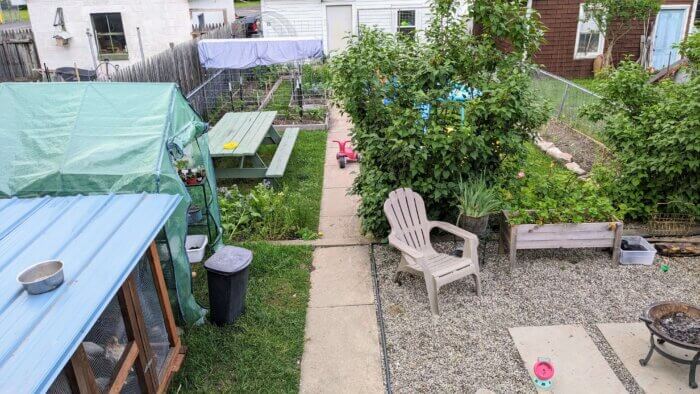 high view of a backyard garden