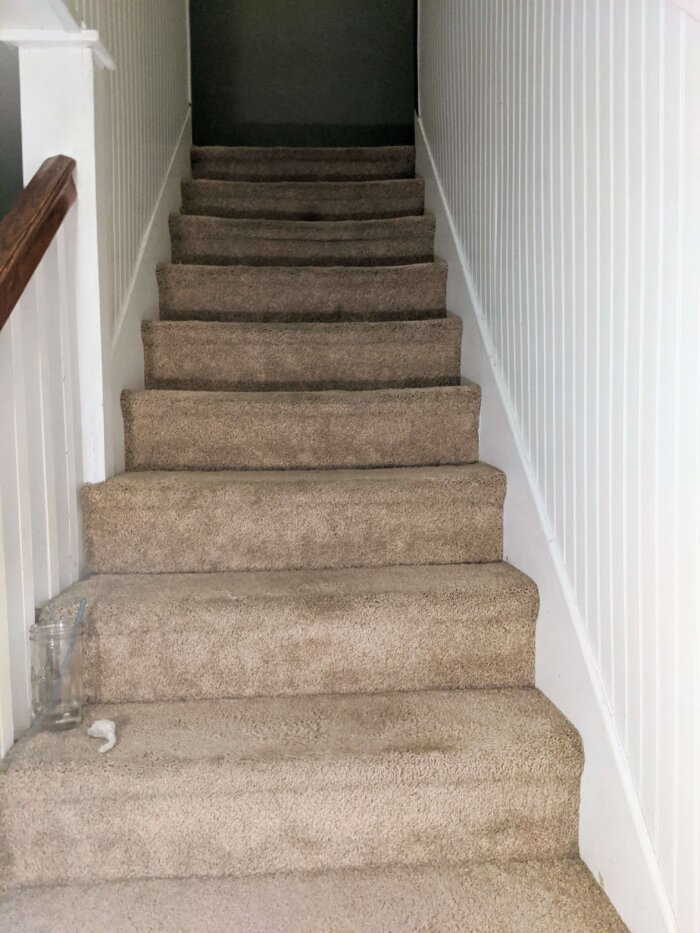 carpeted staircase