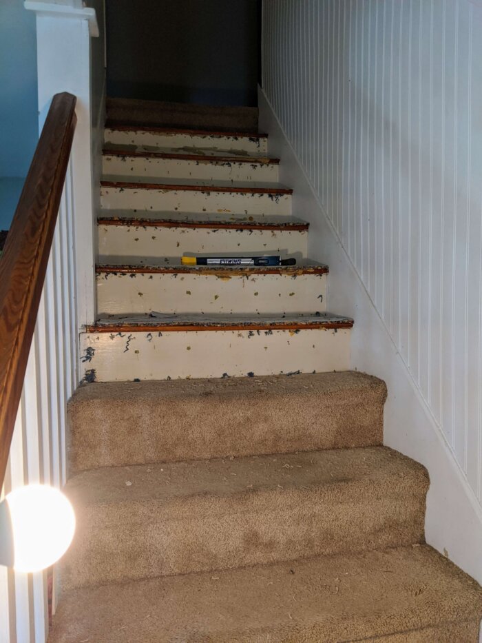 carpeted stairs case with half of the carpet pulled off, exposing the stair case treads and risers