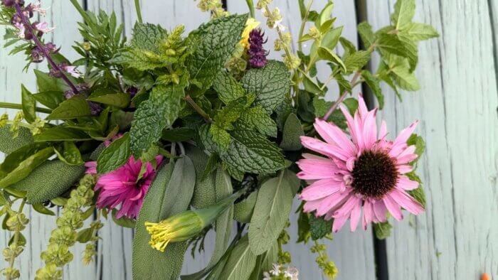 an herbal bug bouquet in mason jars on a picnic table