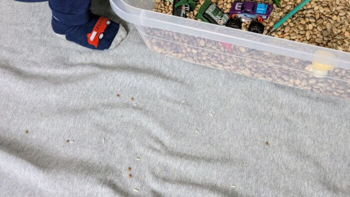 dried rice and beans on a blanket next to a sensory bin and childs foot 