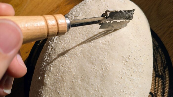 roasted garlic sourdough bread boulle with a razor beginning to cut 