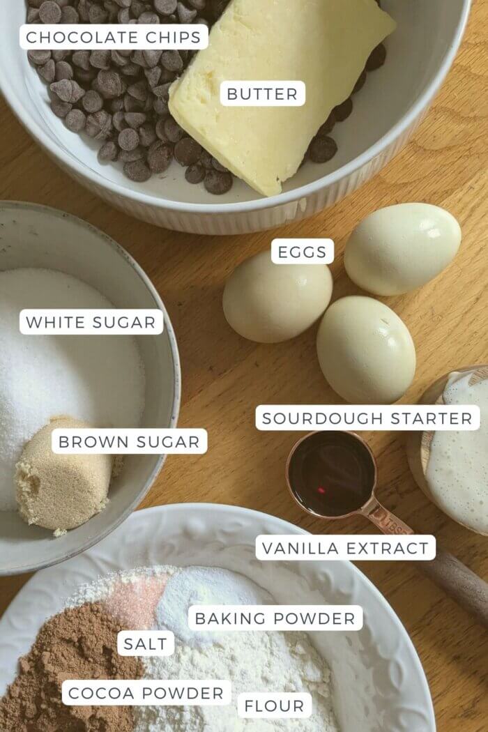 sourdough Brownie cookie ingredients laid out on a counter and labeled