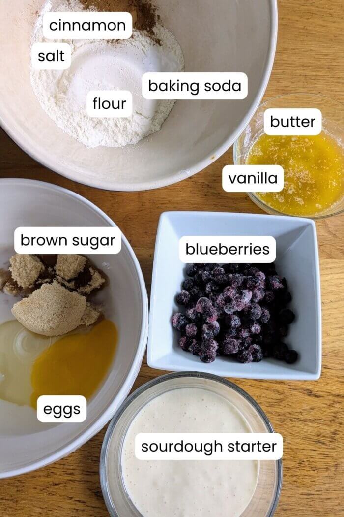 sourdough discard Blueberry muffins ingredients laid out and labeled