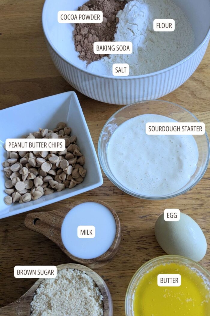 Peanut Butter Cup Sourdough Muffins ingredients laid out and labeled