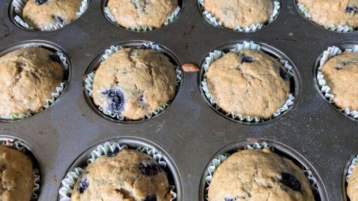 a tray of cooked sourdough discard Blueberry muffins