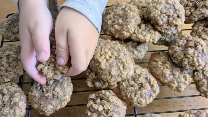 little boy hand holding a sourdough oatmeal cookie over sourdough oatmeal cookies on a cooling rack