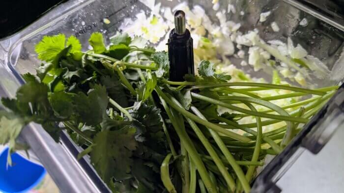 cilantro being added to a ninja blender that already has onions, peppers, and garlic in it. 