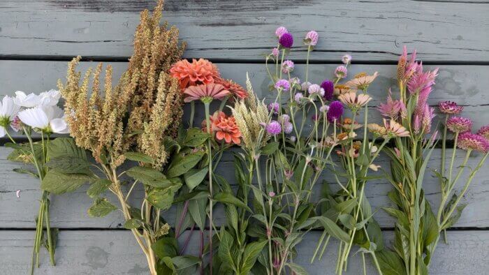 Several varieties of flowers laid out on a green picnic table