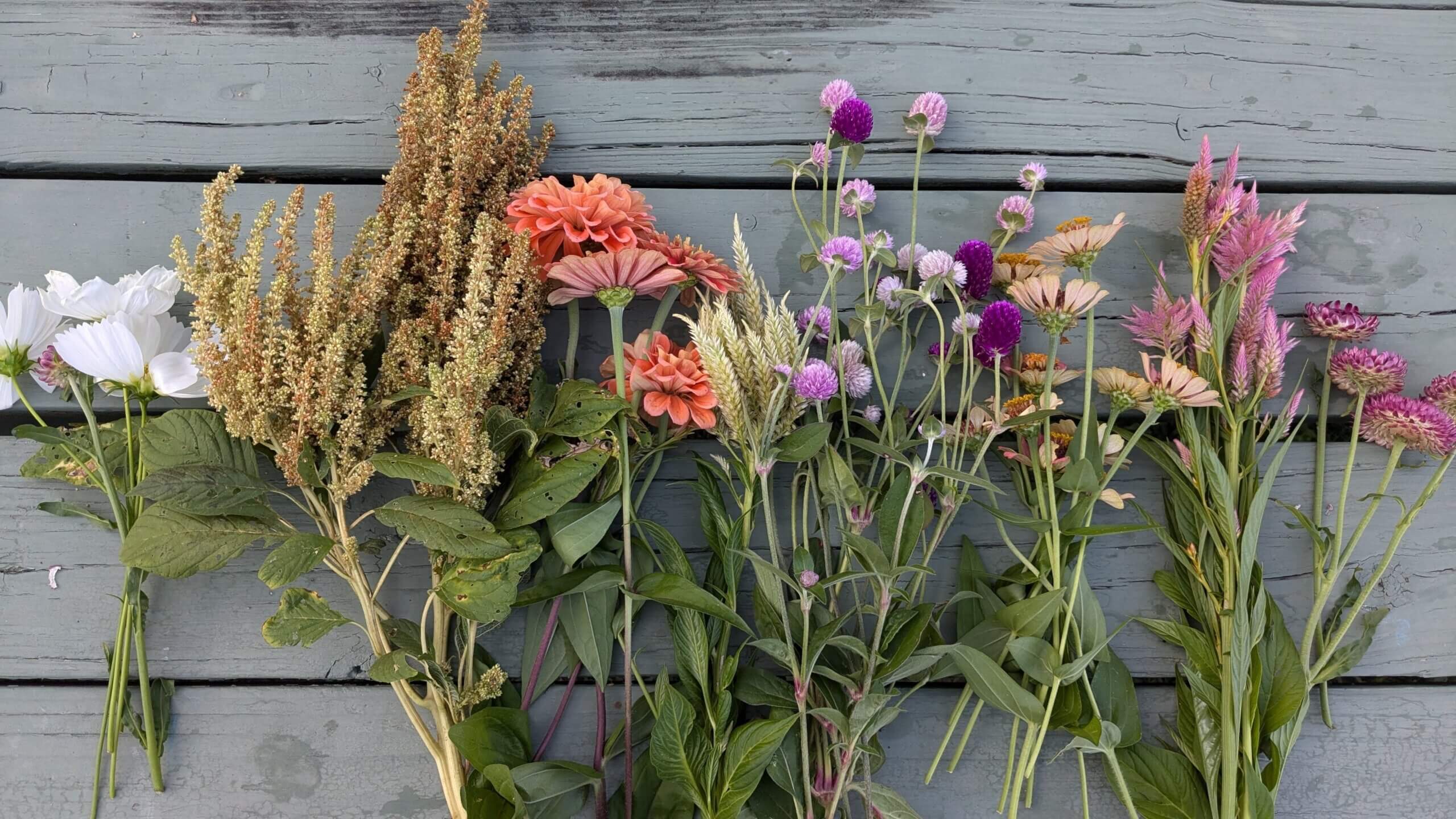 Several varieties of flowers laid out on a green picnic table