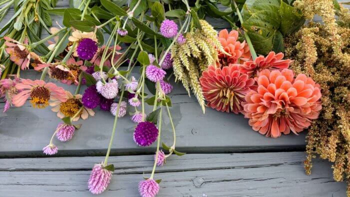 Several varieties of flowers laid out on a green picnic table